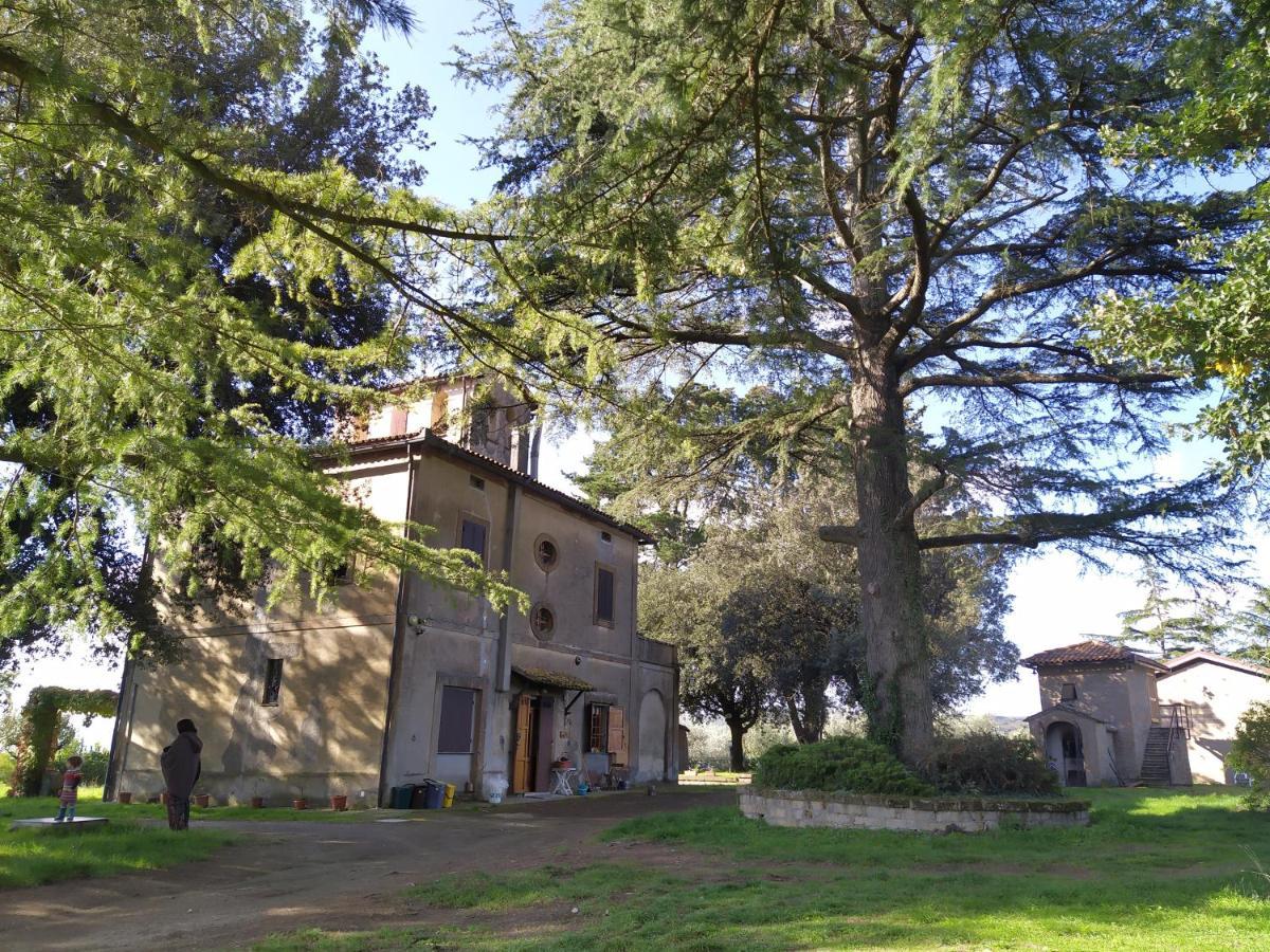 Agriturismo La Villetta San Lorenzo Nuovo Luaran gambar