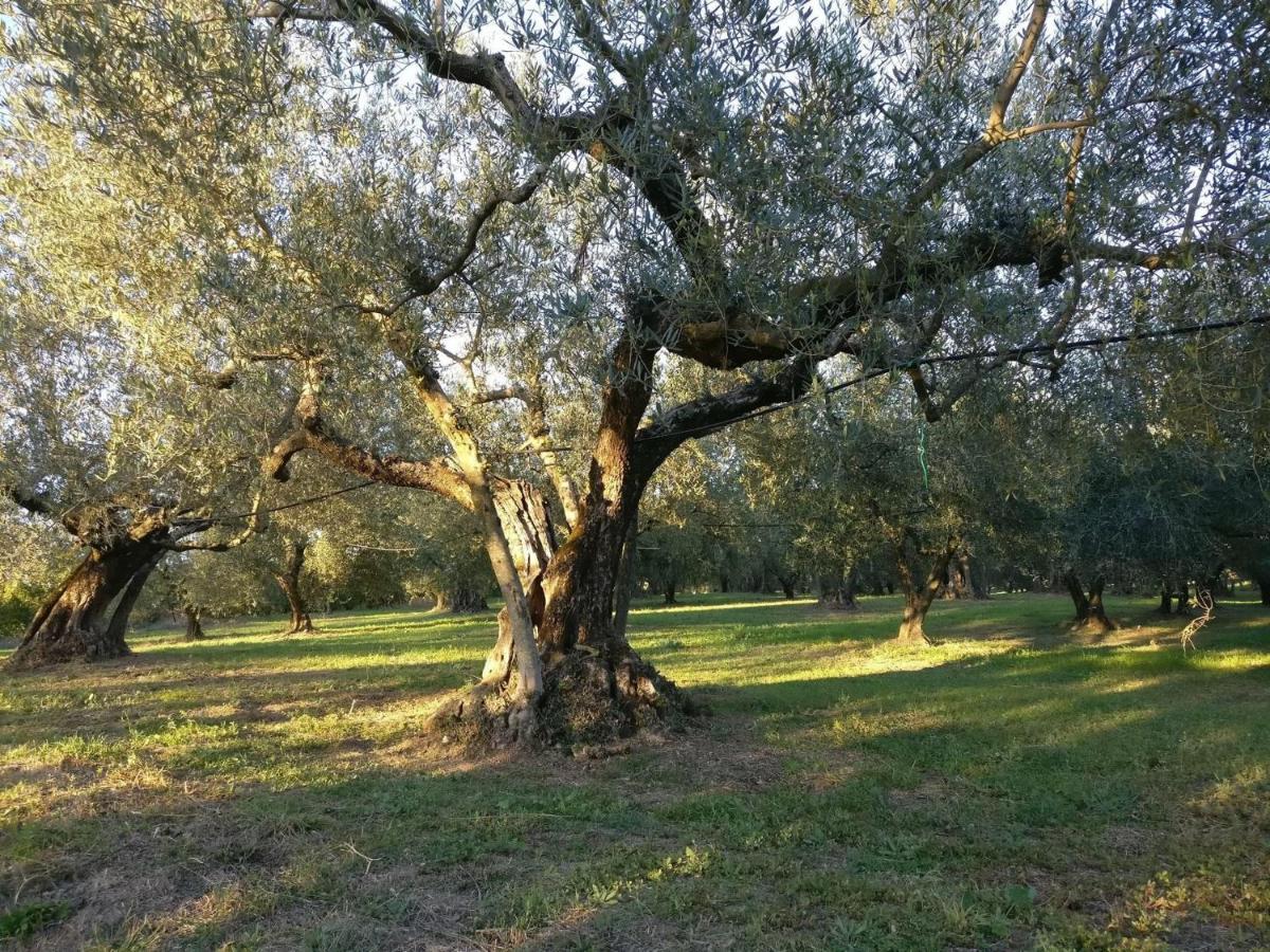 Agriturismo La Villetta San Lorenzo Nuovo Luaran gambar