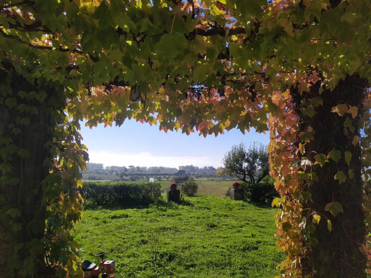 Agriturismo La Villetta San Lorenzo Nuovo Luaran gambar