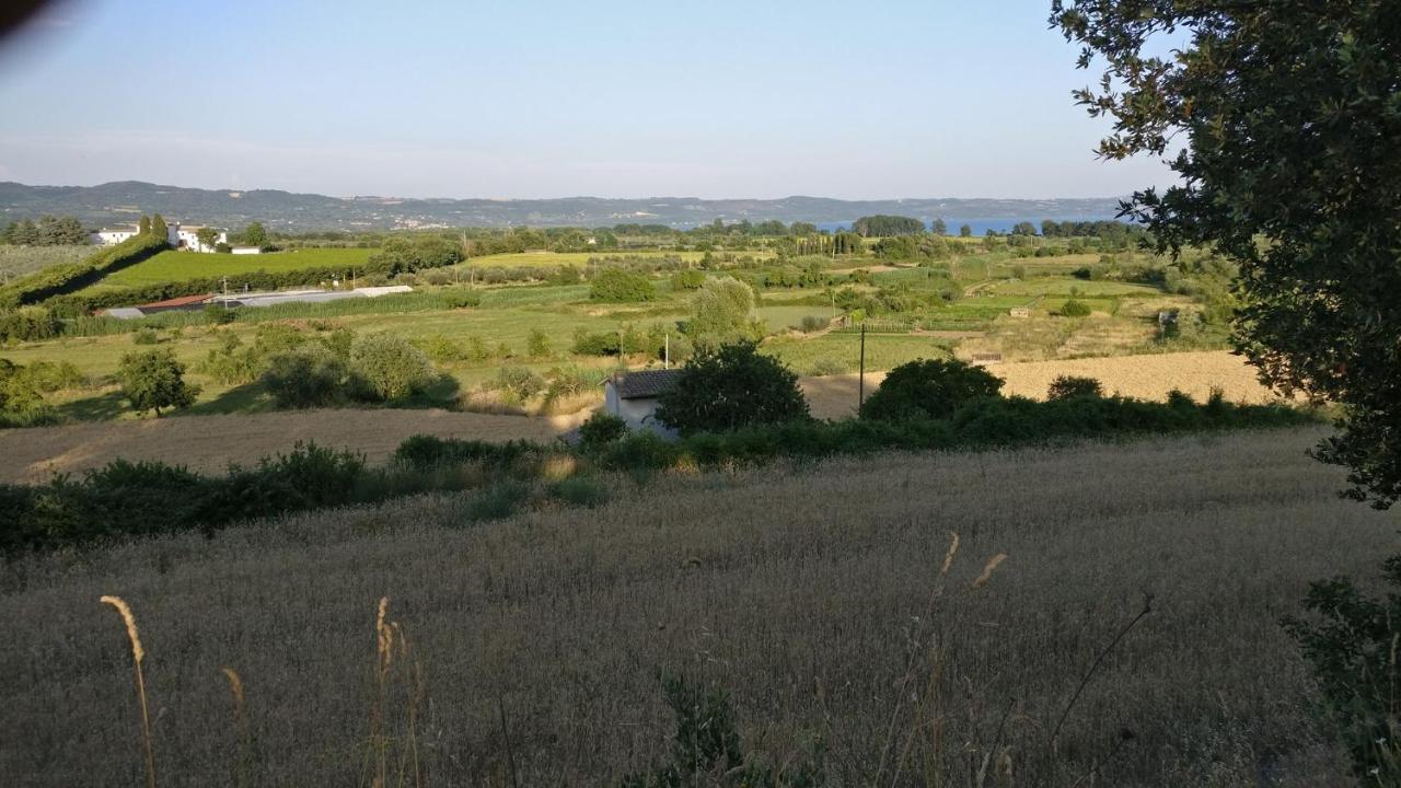 Agriturismo La Villetta San Lorenzo Nuovo Luaran gambar