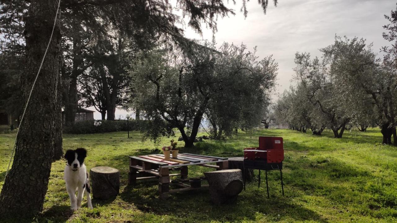 Agriturismo La Villetta San Lorenzo Nuovo Luaran gambar