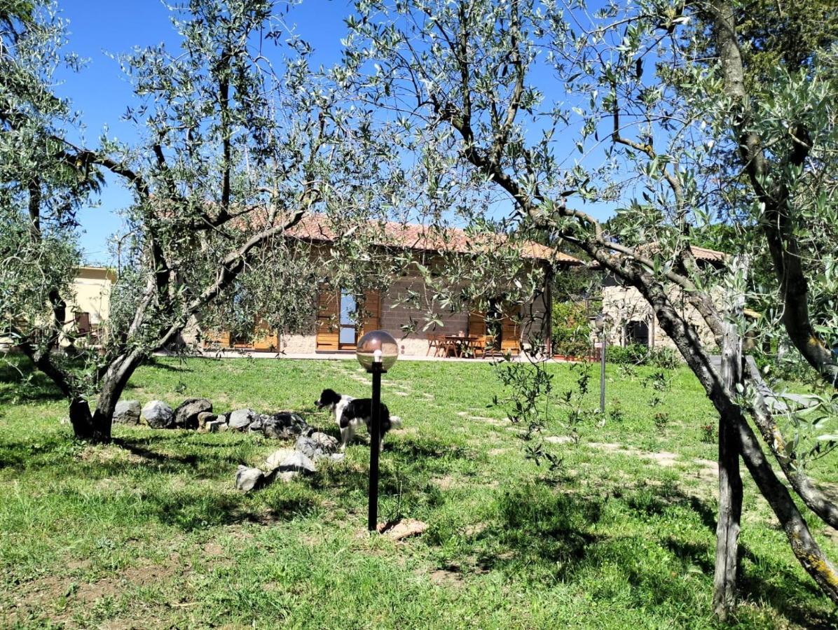 Agriturismo La Villetta San Lorenzo Nuovo Luaran gambar
