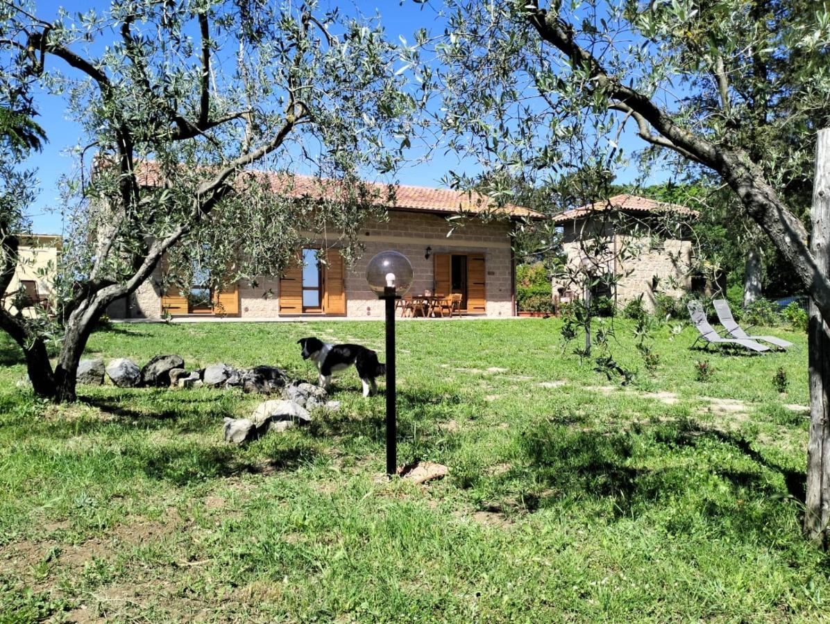 Agriturismo La Villetta San Lorenzo Nuovo Luaran gambar