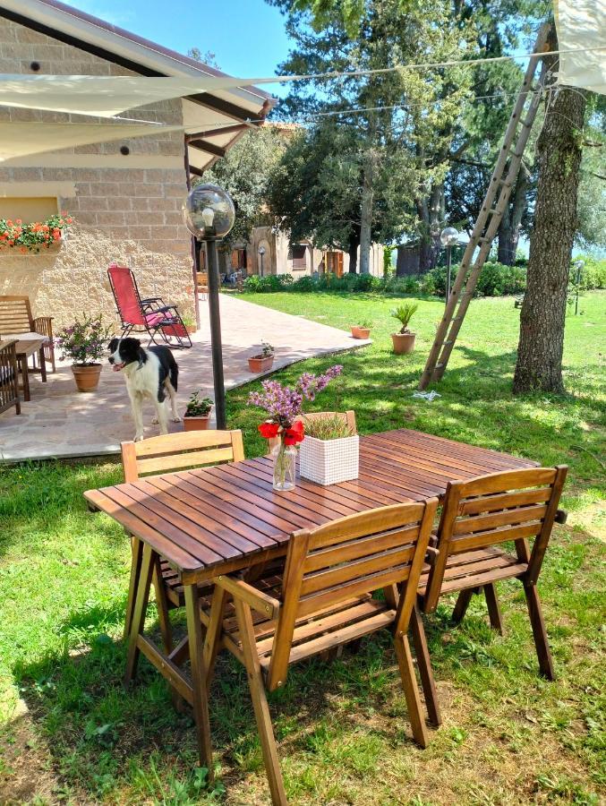 Agriturismo La Villetta San Lorenzo Nuovo Luaran gambar